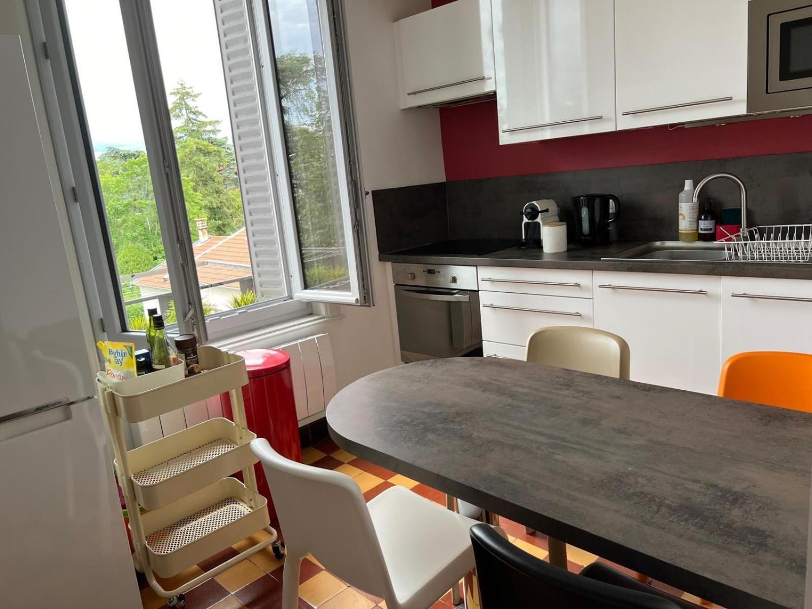 La Suite Des Cedres - T3 Lyon 3 Dış mekan fotoğraf
